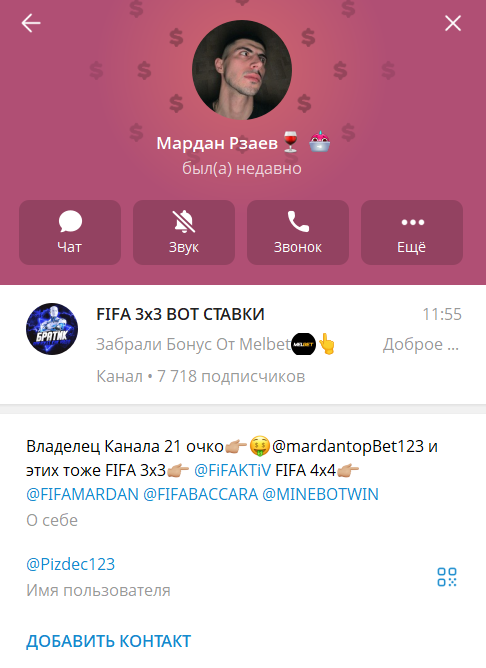Профиль @Pizdec123 в тг